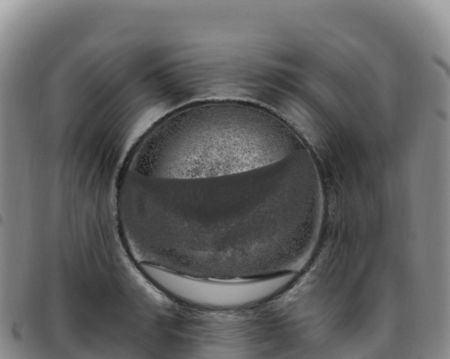 X0000096470990200801311530
