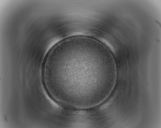 X0000096470991200801311530