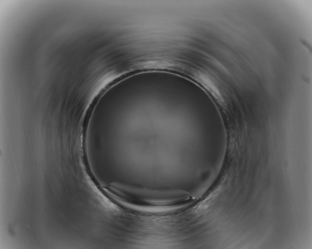 X0000096470992200801311530