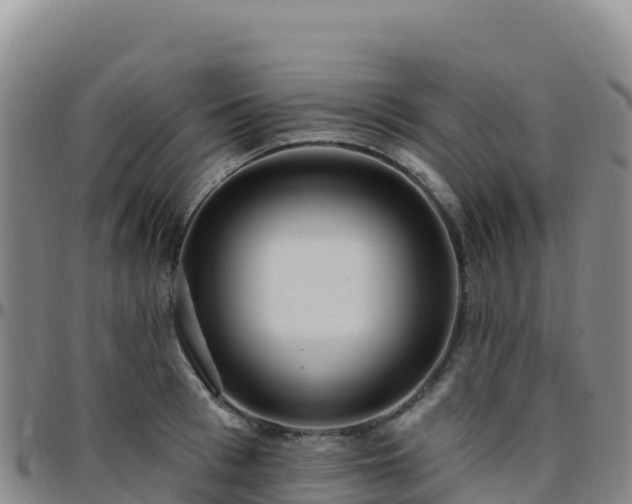 X0000096470993200801311530