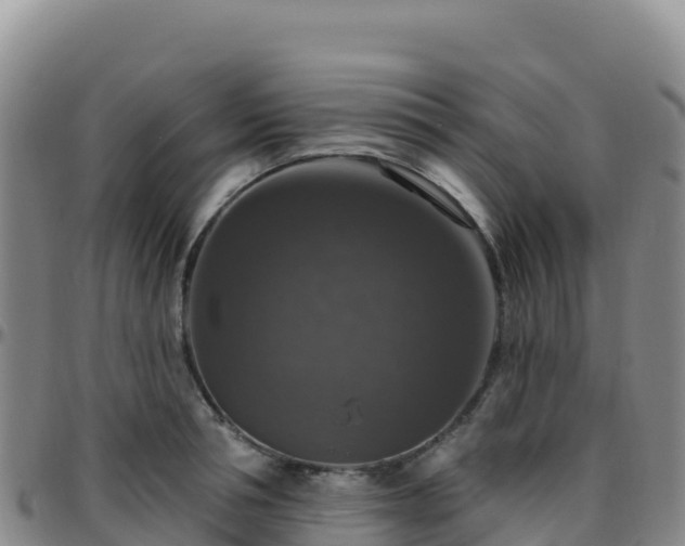 X0000096470994200801311530