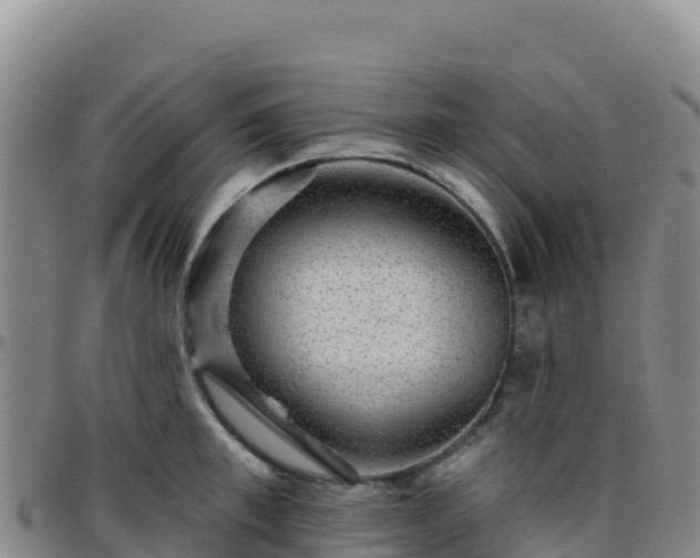 X0000096470997200801311530