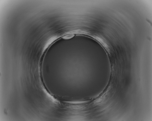 X0000096470998200801311530