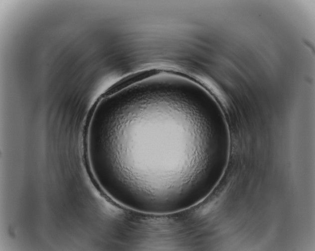 X0000096470999200801311530