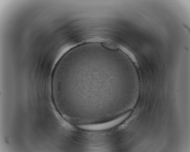 X0000096471000200801311530