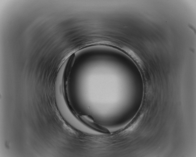 X0000096471001200801311530
