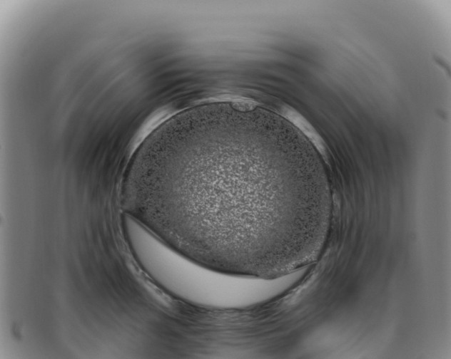 X0000096471002200801311530