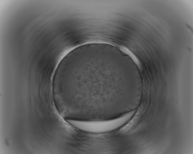 X0000096471004200801311530
