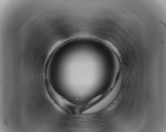 X0000096471005200801311530