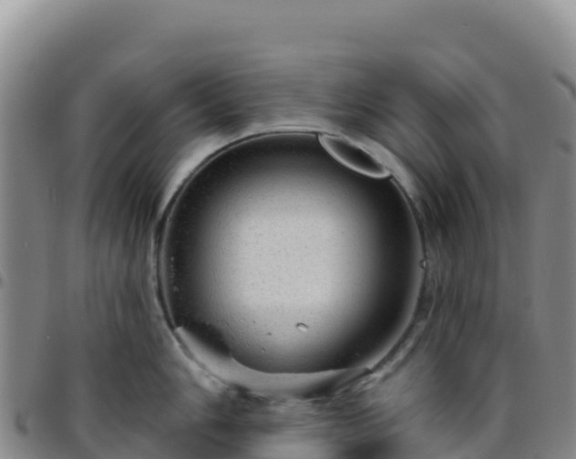 X0000096471006200801311530