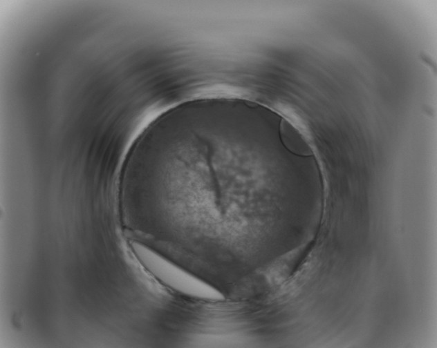 X0000096471008200801311530