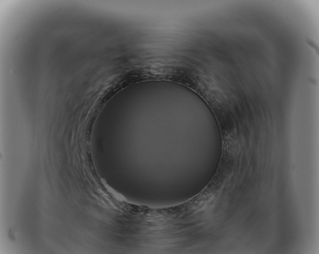 X0000096471009200801311529