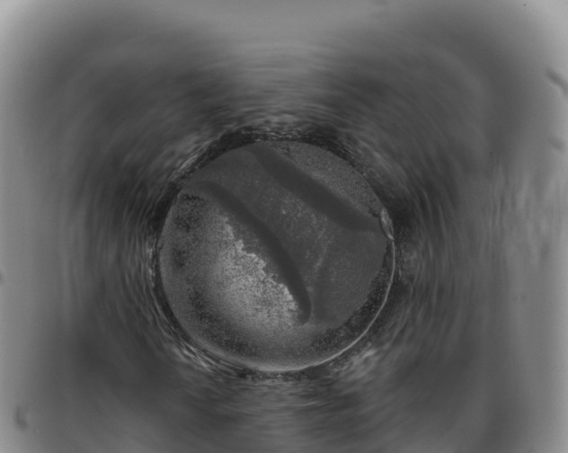 X0000096471010200801311529
