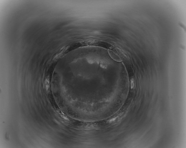 X0000096471011200801311529
