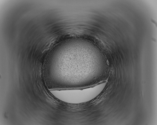 X0000096471012200801311529