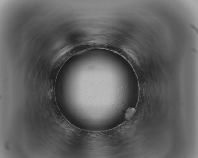 X0000096471015200801311529