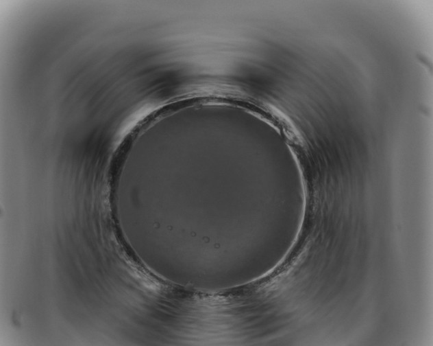 X0000096471019200801311529