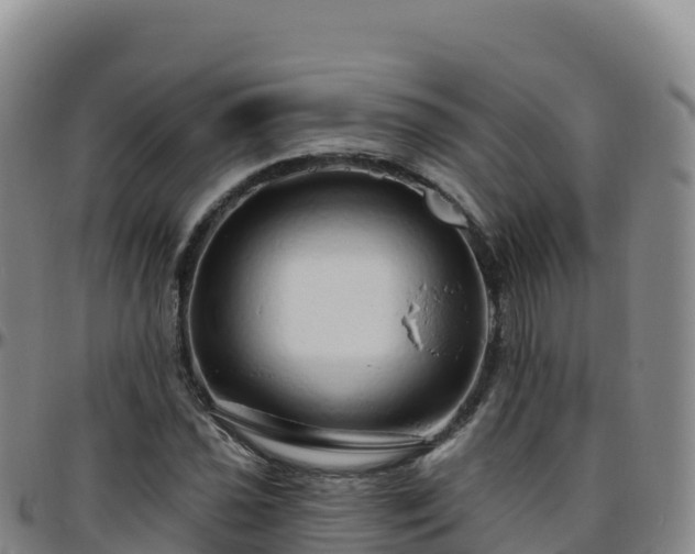X0000096471021200801311529