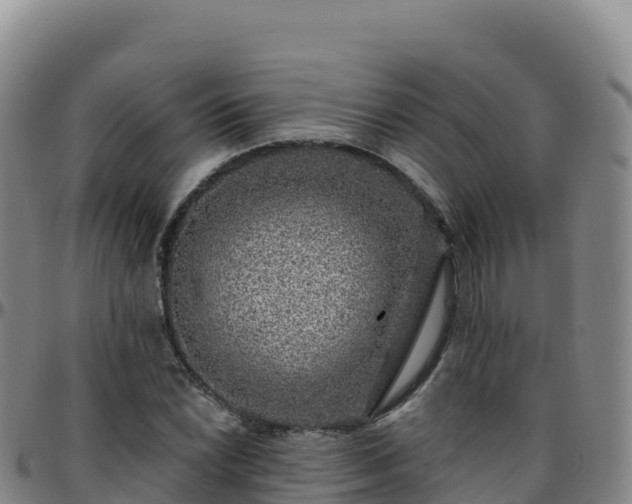 X0000096471022200801311529
