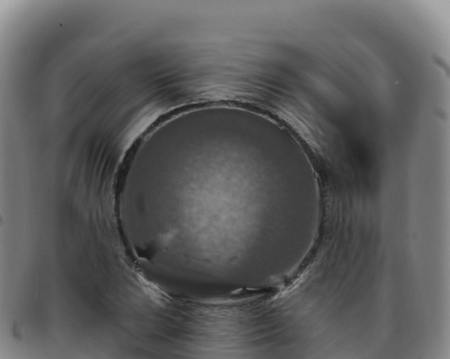 X0000096471023200801311529