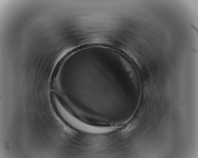 X0000096471024200801311529