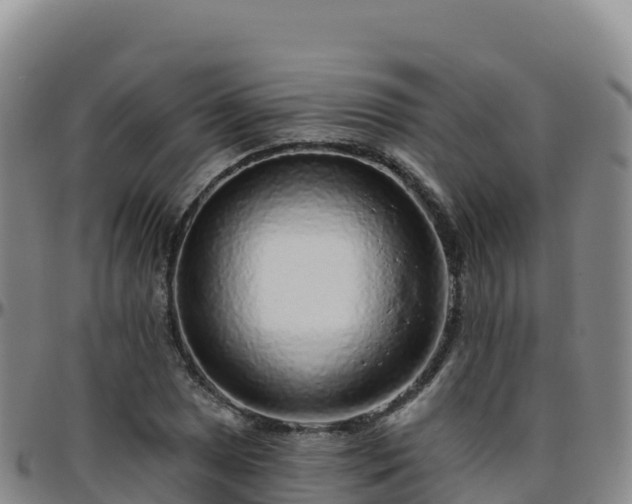 X0000096471025200801311529