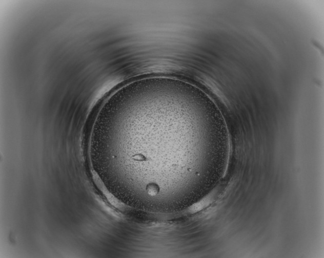 X0000096471026200801311529