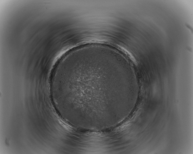 X0000096471027200801311529