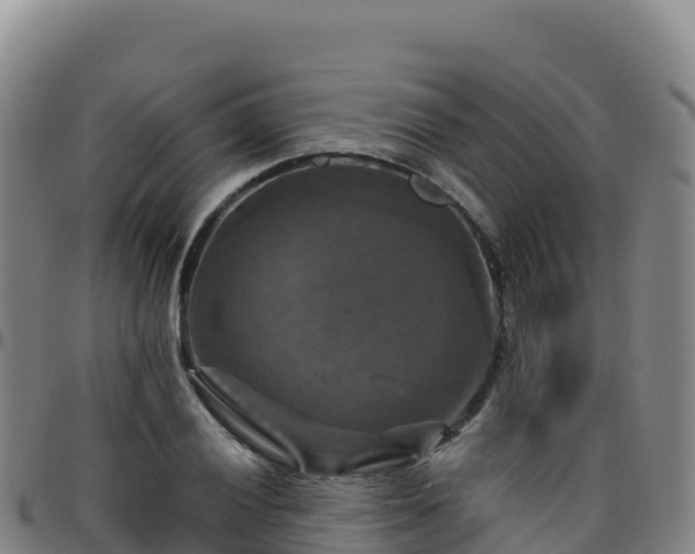 X0000096471028200801311530