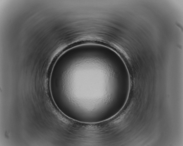 X0000096471029200801311530