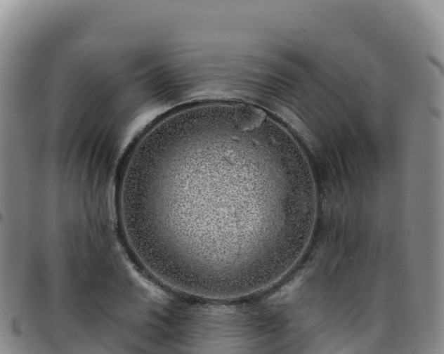 X0000096471030200801311530