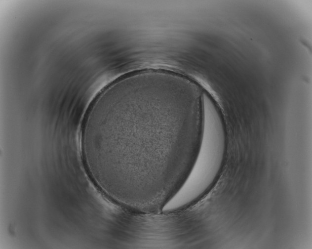 X0000096471032200801311530