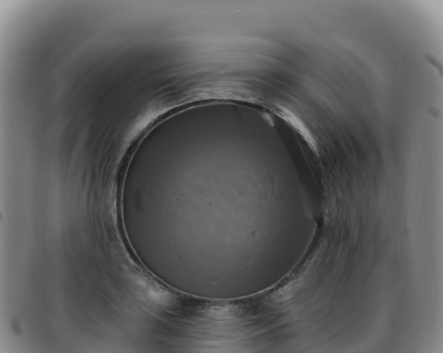 X0000096471035200801311530