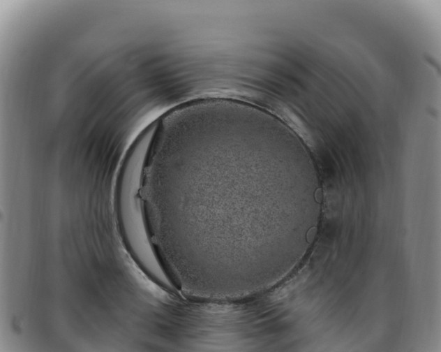 X0000096471036200801311530