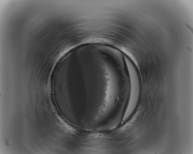 X0000096471037200801311530