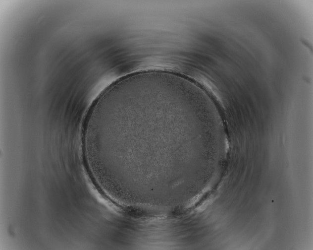 X0000096471038200801311530