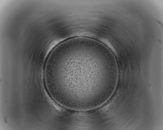 X0000096471040200801311530