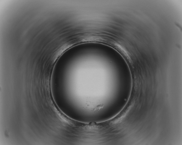 X0000096471041200801311530