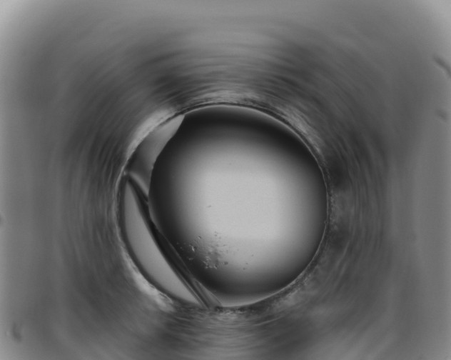 X0000096471042200801311530