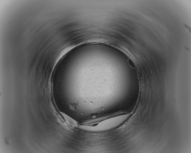 X0000096471044200801311530