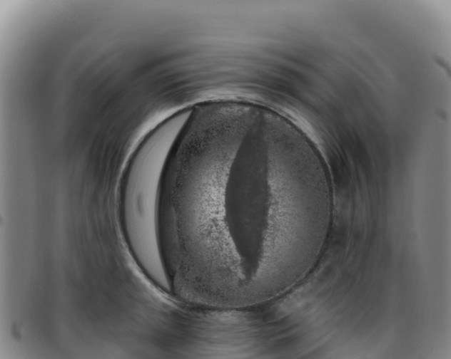 X0000096471045200801311530