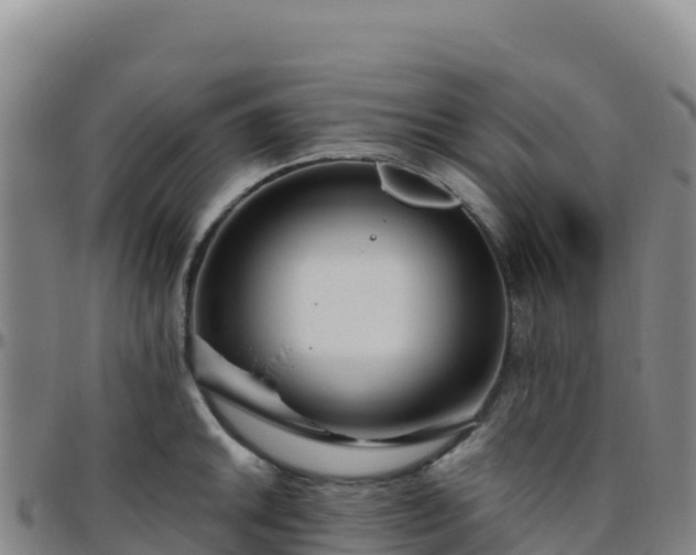 X0000096471046200801311530