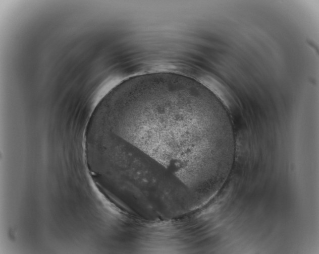 X0000096471047200801311530
