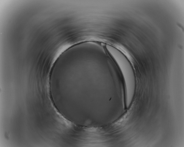 X0000096471048200801311530