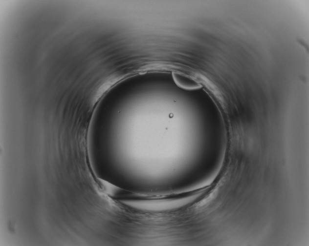X0000096471049200801311530