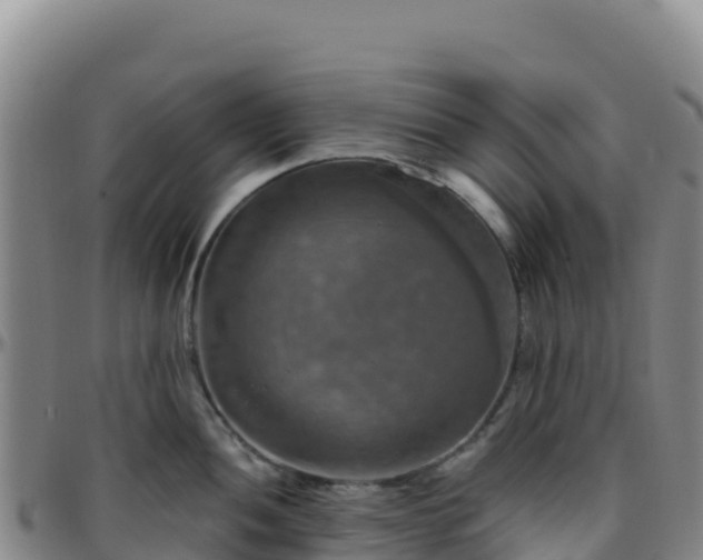 X0000096471052200801311530