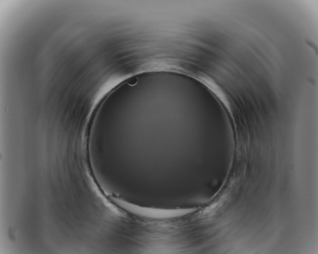 X0000096471053200801311530
