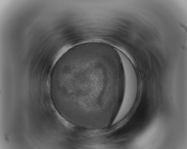 X0000096471054200801311530