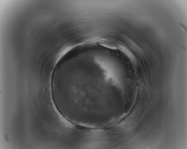 X0000096471055200801311530