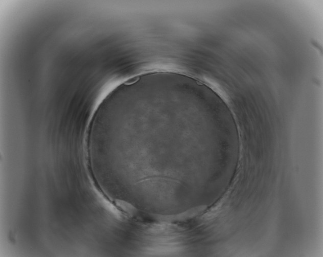 X0000096471056200801311530